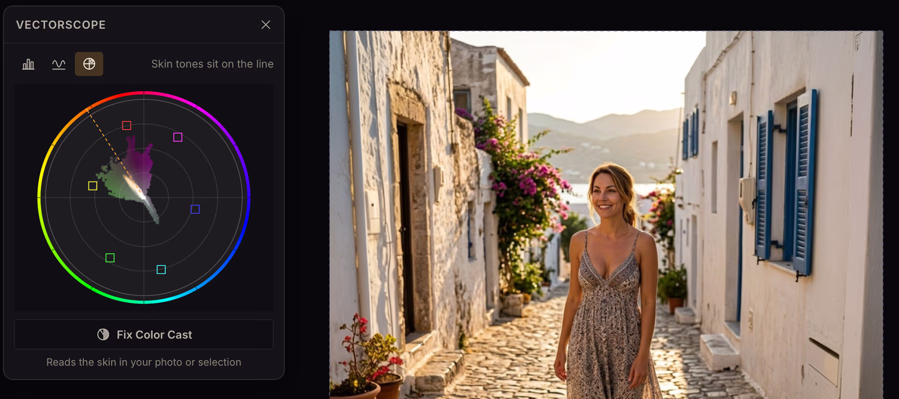 The Vectorscope card for the same photo, with a hue ring, the skin-tone line and a Fix Color Cast button
