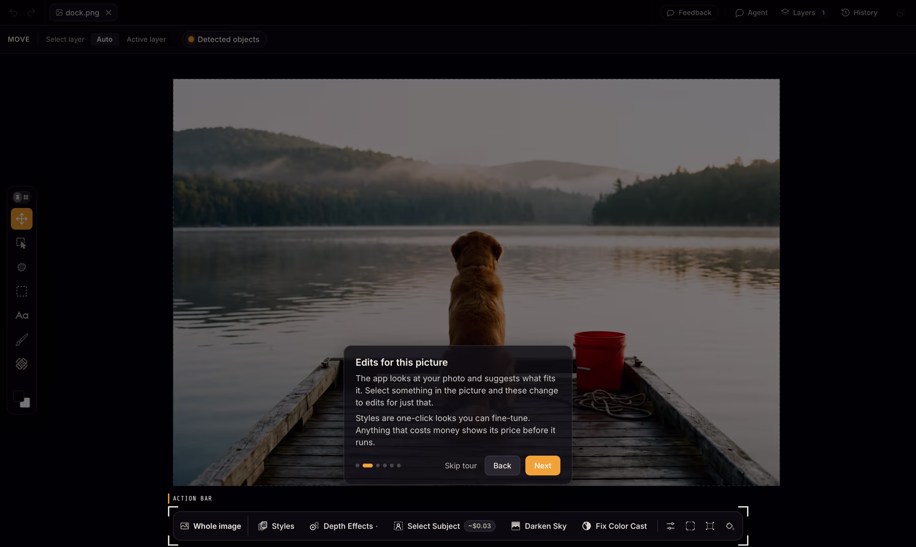 The first-run tour on a photo of a golden retriever on a lake dock: the picture is dimmed, the action bar at the bottom is spotlit with corner brackets and an Action bar tab, and a card above it titled Edits for this picture explains the suggested edits, with Skip tour, Back and Next buttons.